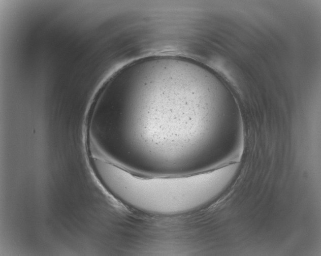 X0000074261424200609011331