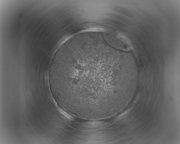 X0000074261425200609011331