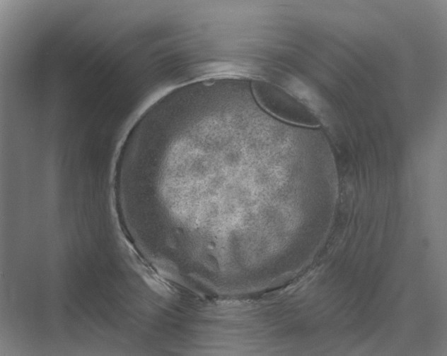 X0000074261427200609011331