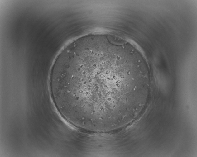 X0000074261429200609011331