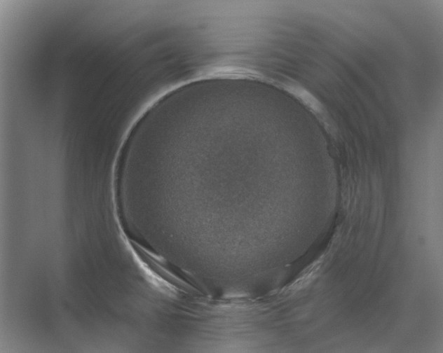 X0000074261430200609011331