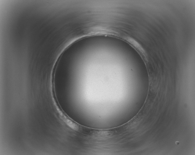 X0000074261431200609011331