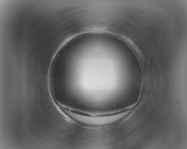 X0000074261432200609011331