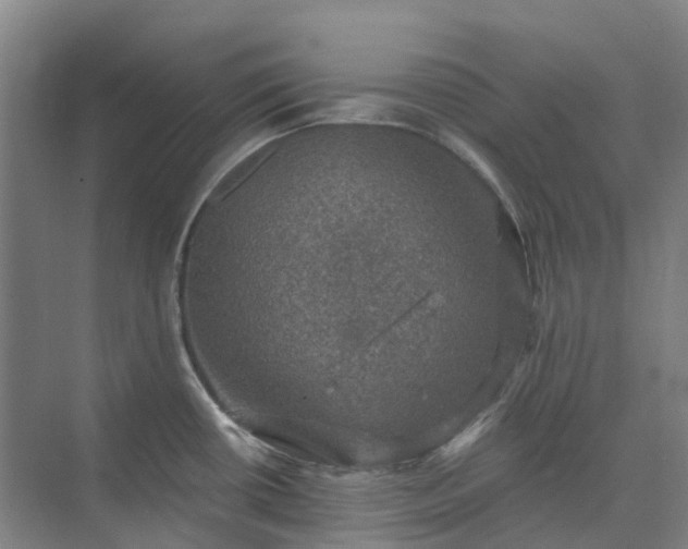 X0000074261434200609011331