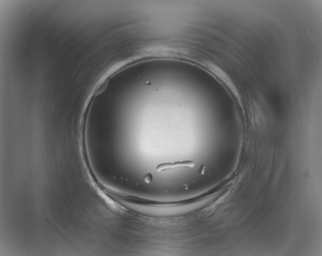 X0000074261437200609011331