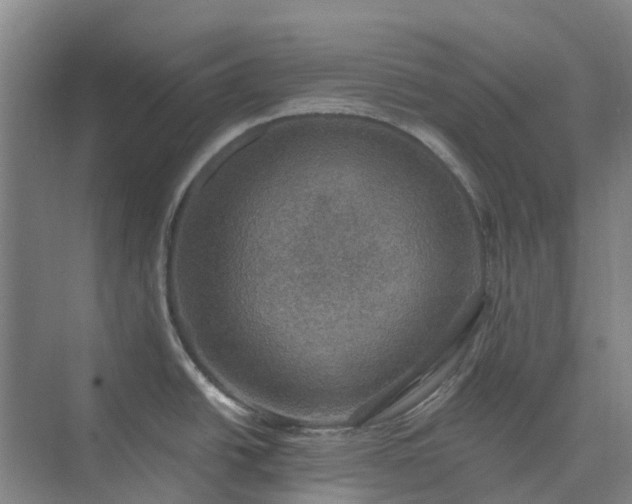 X0000074261438200609011331