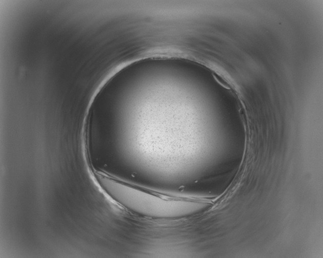 X0000074261440200609011331