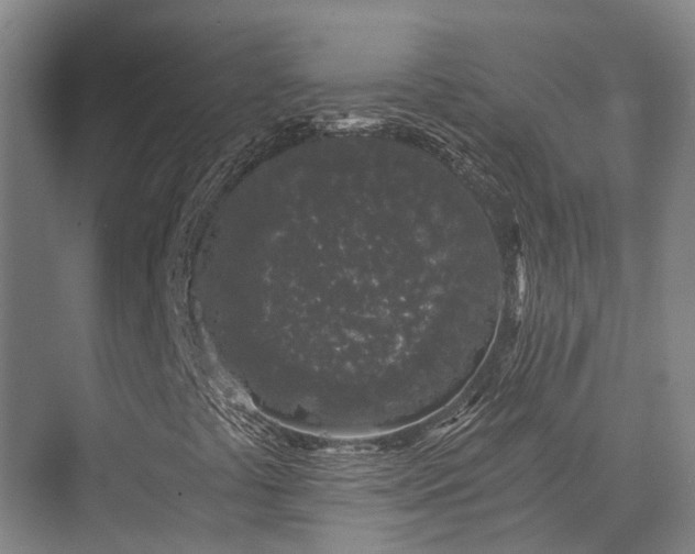 X0000074261441200609011330