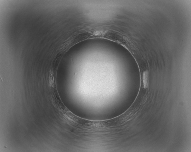 X0000074261443200609011330