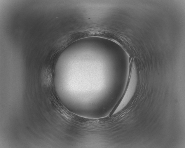 X0000074261444200609011330