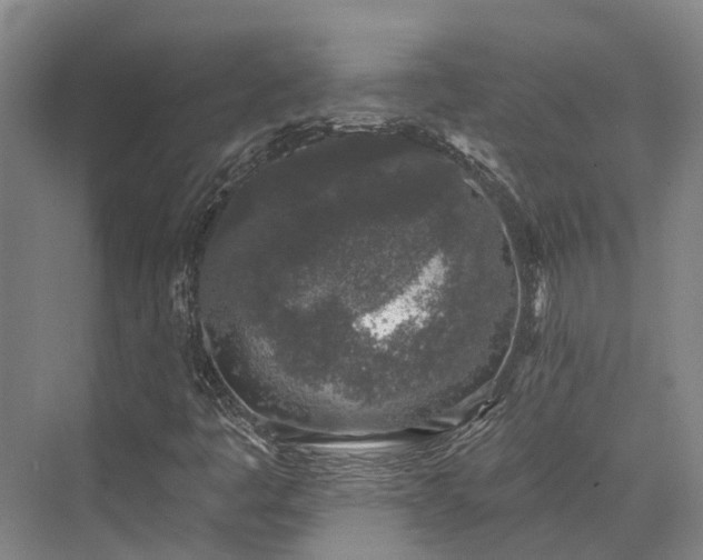 X0000074261445200609011330