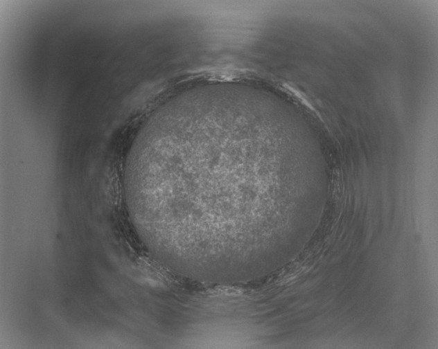 X0000074261446200609011330