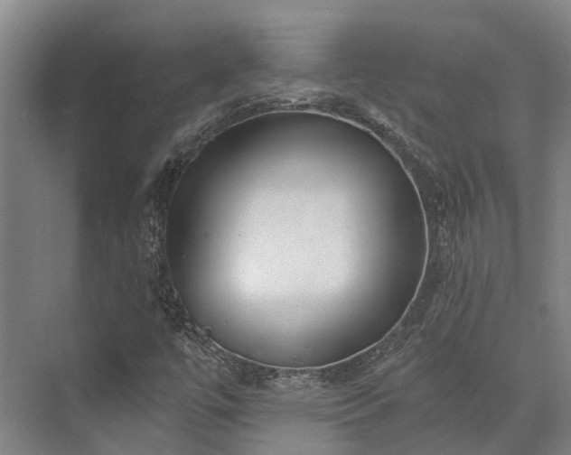 X0000074261447200609011330