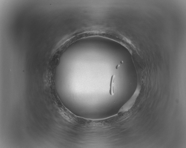 X0000074261448200609011330