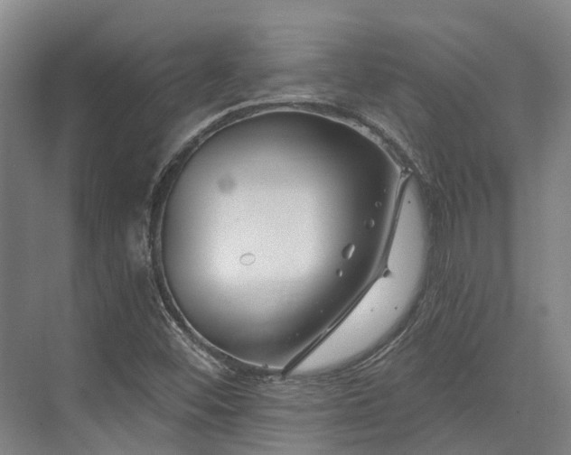 X0000074261452200609011330