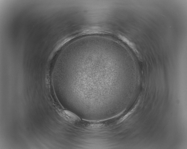 X0000074261453200609011330