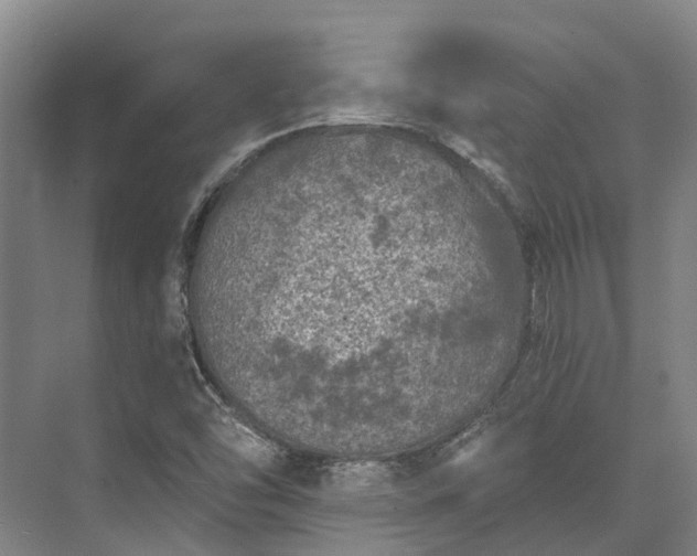 X0000074261454200609011330