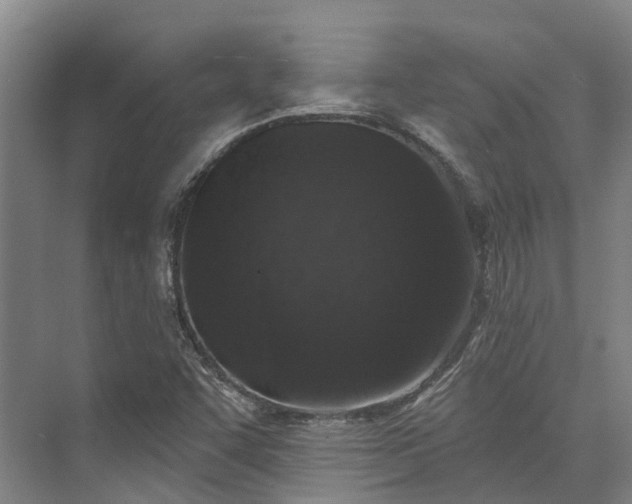 X0000074261455200609011330