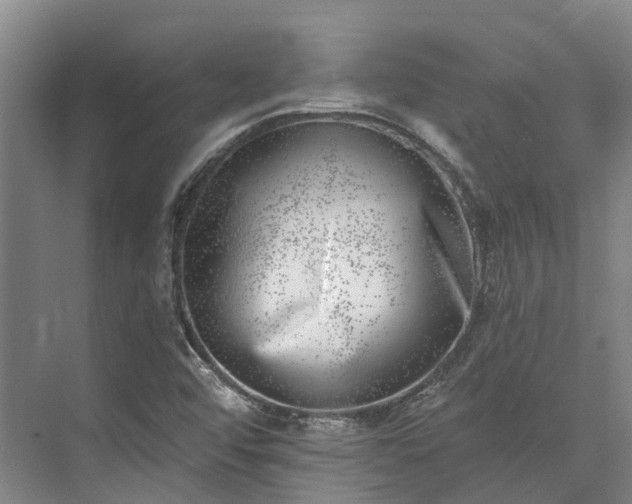 X0000074261456200609011330