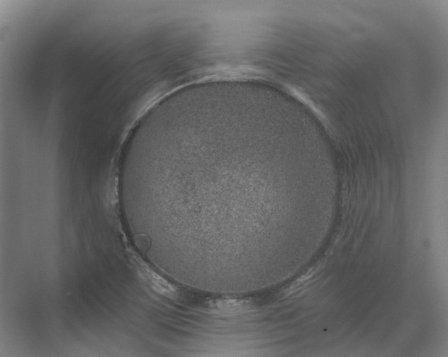 X0000074261459200609011330