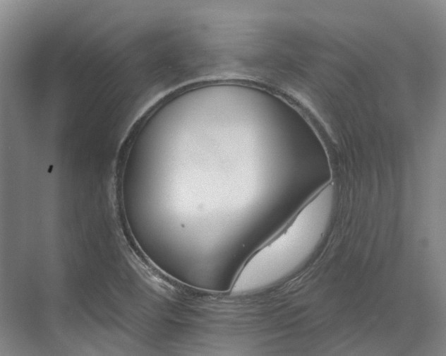 X0000074261460200609011330