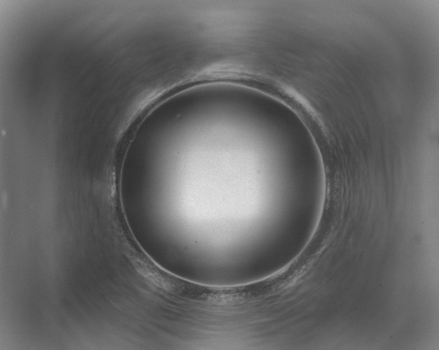 X0000074261461200609011330