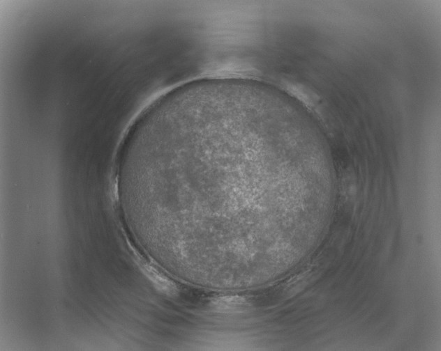 X0000074261462200609011330