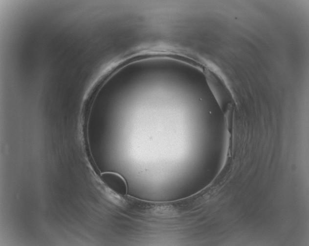 X0000074261464200609011330