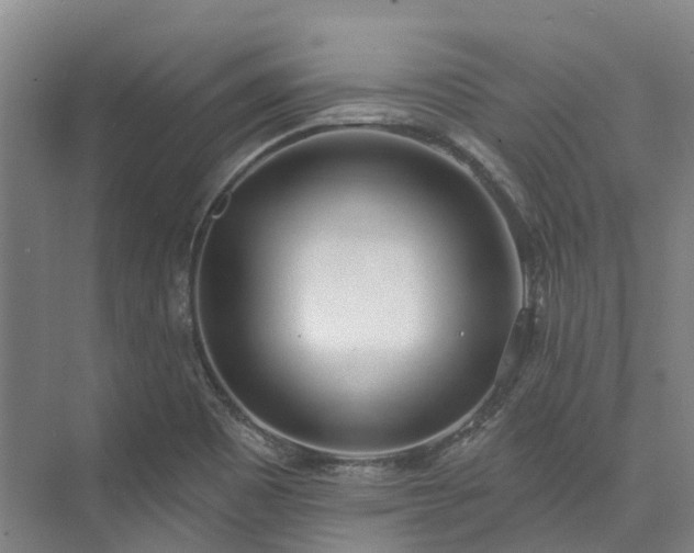 X0000074261465200609011330