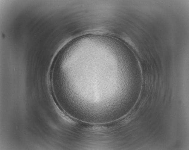 X0000074261466200609011330