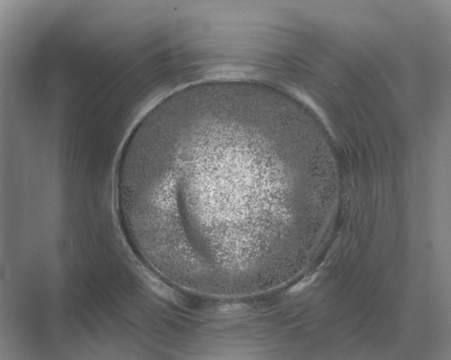 X0000074261467200609011330