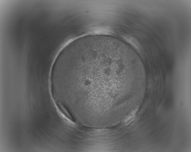 X0000074261471200609011330