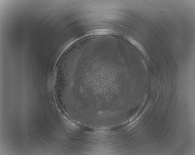 X0000074261473200609011330