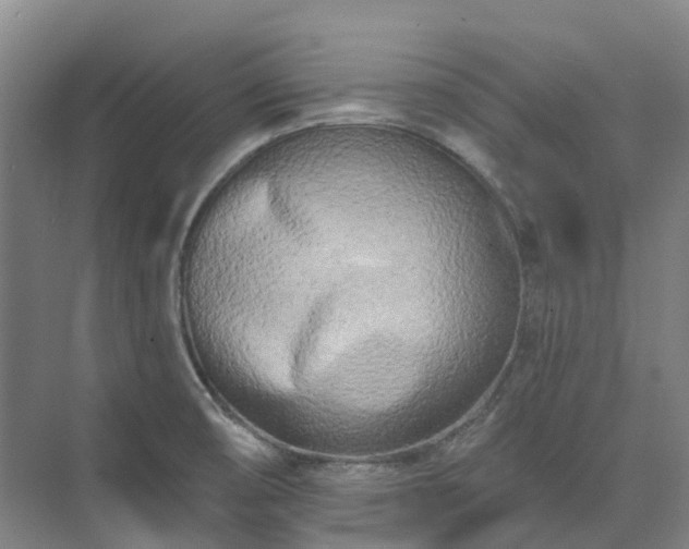 X0000074261474200609011330