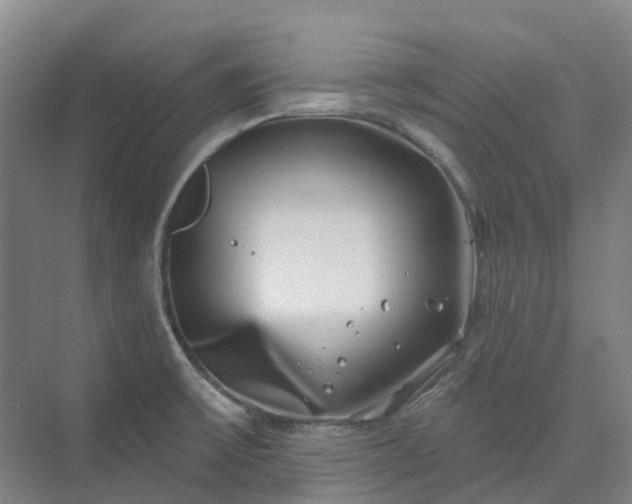 X0000074261475200609011330