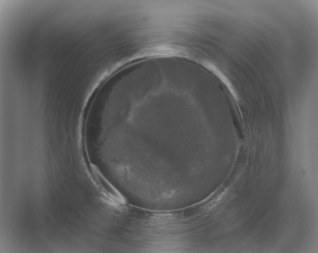 X0000074261477200609011330