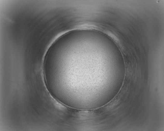 X0000074261478200609011330