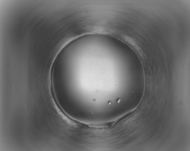 X0000074261479200609011330