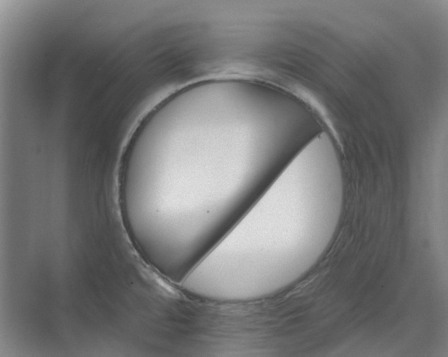 X0000074261480200609011330