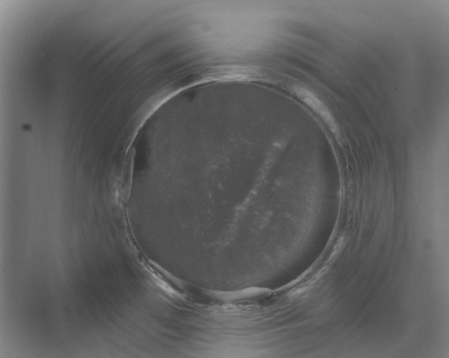 X0000074261481200609011330