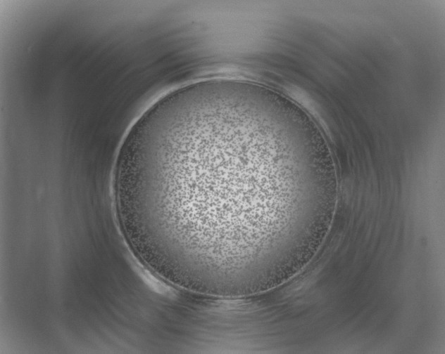 X0000074261482200609011330