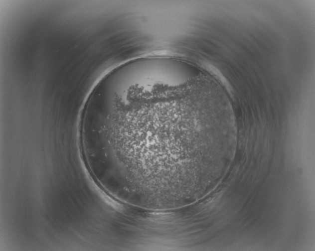 X0000074261483200609011330