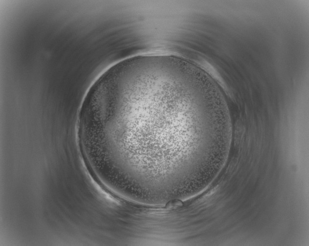 X0000074261484200609011330