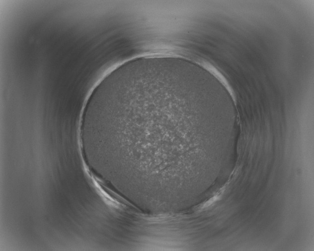 X0000074261485200609011330