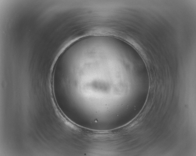 X0000074261486200609011330