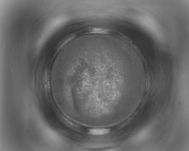 X0000074261487200609011329