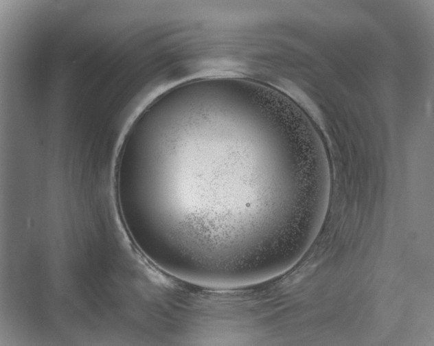 X0000074261488200609011329