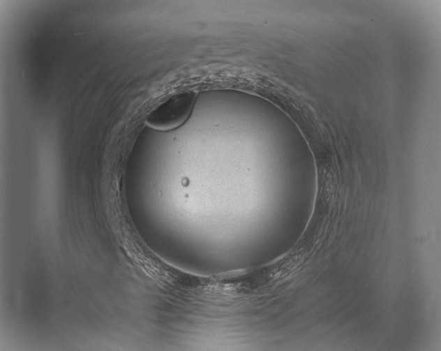 X0000074261489200609011329