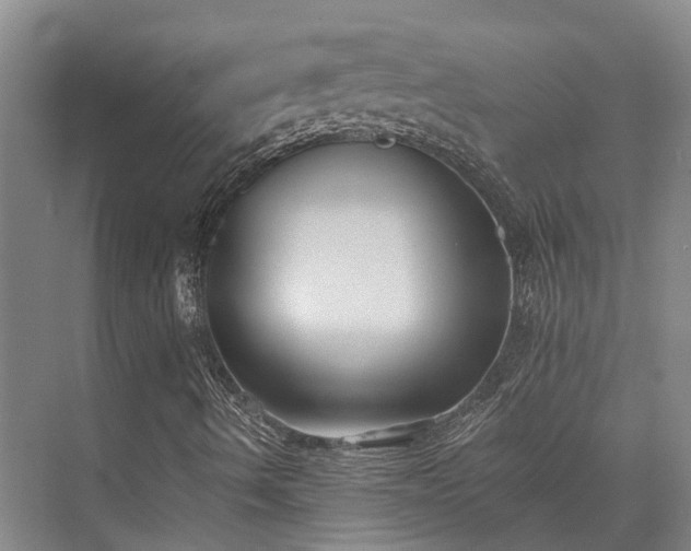 X0000074261490200609011329