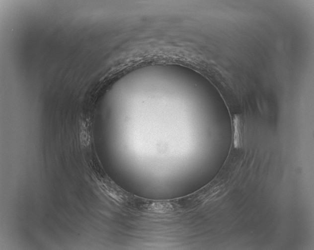 X0000074261491200609011329